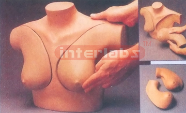 DELUXE BREAST SELF EXAMINATION SIMULATOR